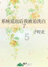 女子腰腹部藏50部手机入境:均为苹果、三星牌