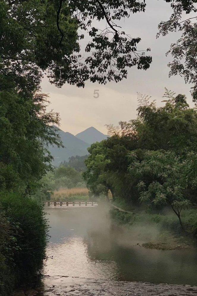 动物帮帮忙保卫家园