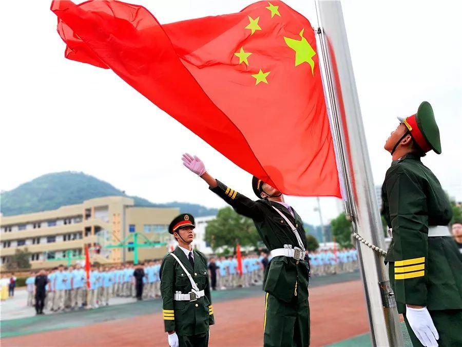 救援贪玩的大象