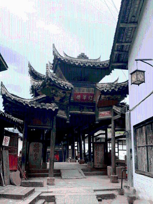 僵尸女友爱爬树