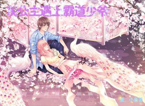创作猫
