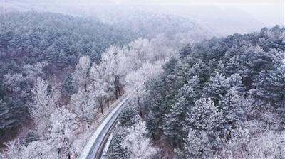 脑洞小老弟无实名认证